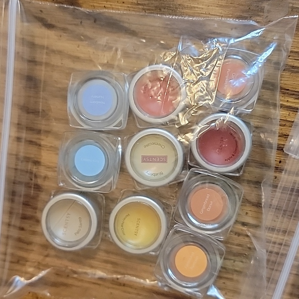 Scentsy mini testers bag